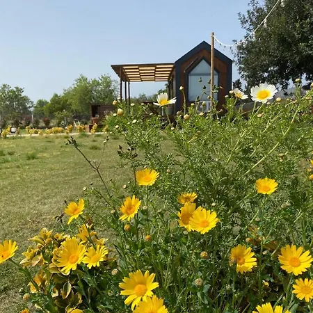 Radika Datca Holiday home