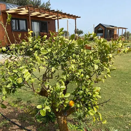 Radika Datca * Kızlanköy